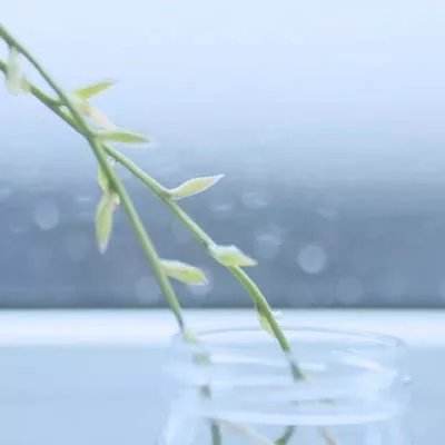 魔法之书里的生活